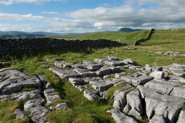 Limestone Pavement Yorkshire Dales